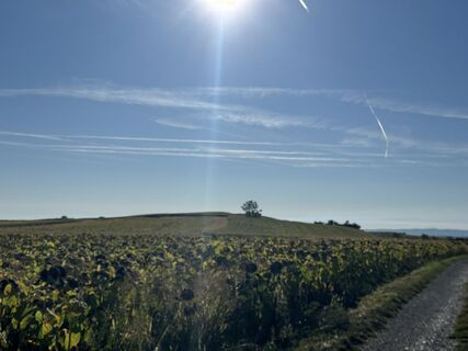 Fotografija s spletne strani Peter Kollreider na poti