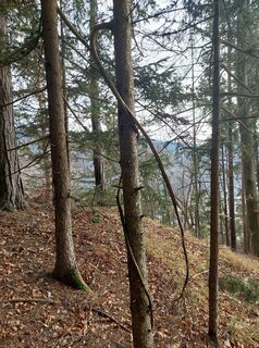 Kuva osoitteesta Gerti Glettler matkan varrella