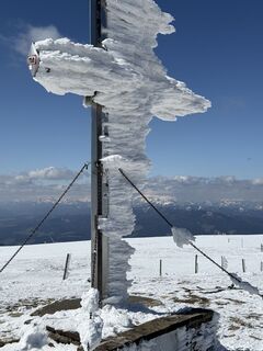 Fotografia z Michael Heger 1 na trase