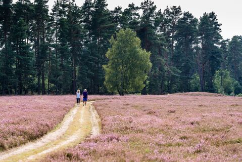 Wanderer in der Klein Bünstorfer Heide