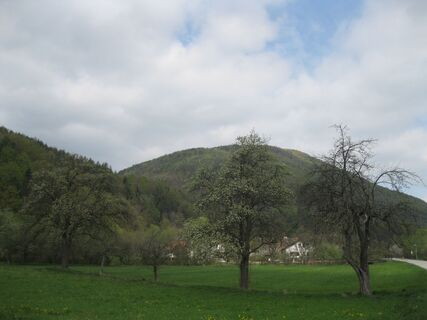 Grimmenstein und Kulmriegel