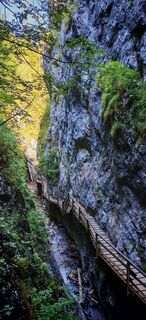Fotografija s spletne strani ReginaSt na poti