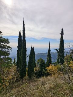 Zdjęcie z Andrea Treichl wzdłuż trasy