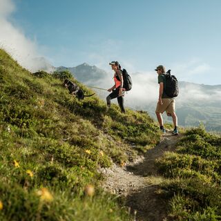 Weg zum Foggenhorn