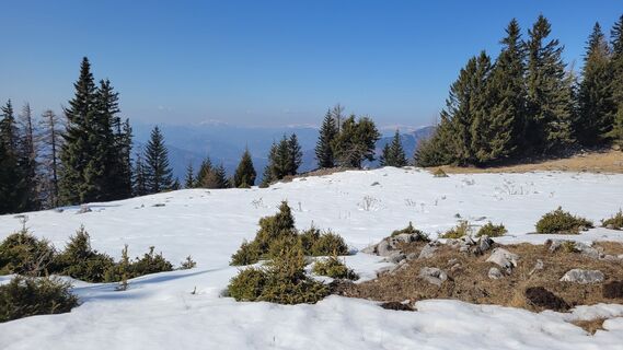 Foto von Juliane Jarke entlang der Tour