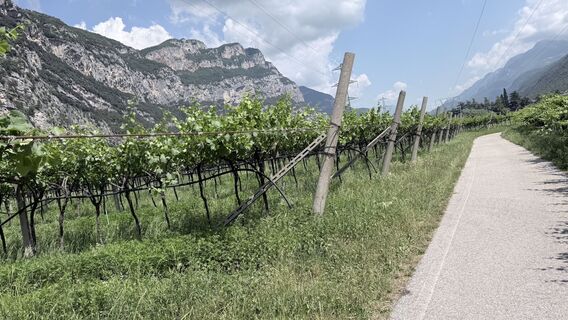 Foto von Michał Chudyk entlang der Tour