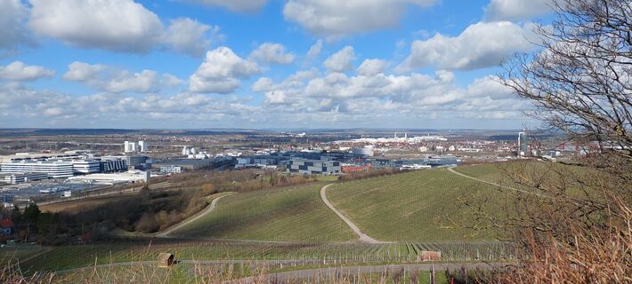 Stiftsberg - Blick nach Westen