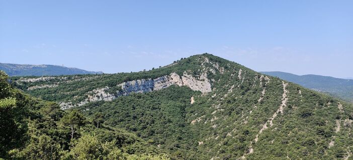 Fotografija s spletne strani Hein Sleddens na poti