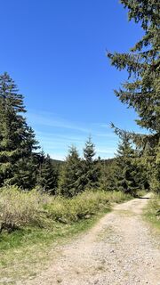 Photo de B3rgF3x_hwr_5E le long du parcours
