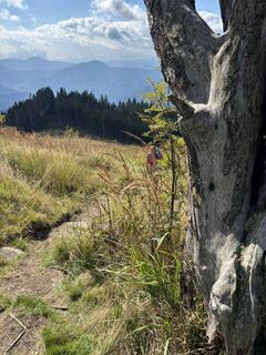 Foto von Berg Noar entlang der Tour