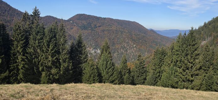 Foto von Peter A. entlang der Tour