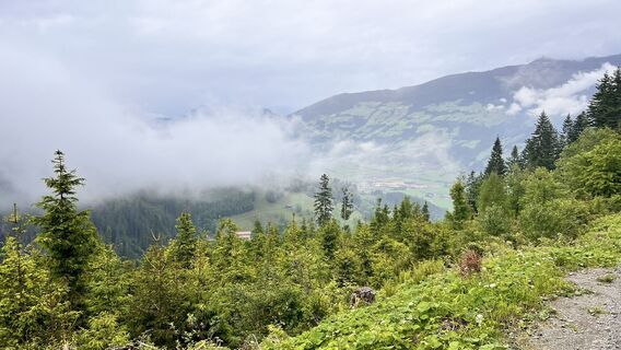 Fotografija s spletne strani Ralph Hollfoth na poti