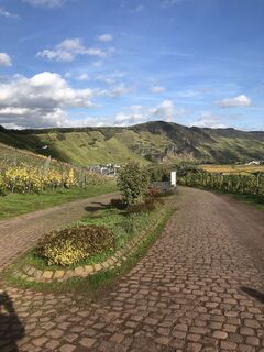 Photo de Ruud Oligschlager le long du parcours