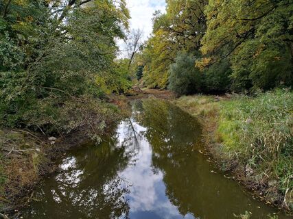 Fotografie z Poschacher na trase