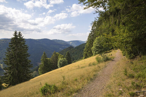 Auf dem Zauberweg