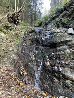 Fotografia z Halcsakj na trase