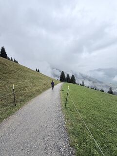 Fotografie de la Dieter Köppl de-a lungul turului