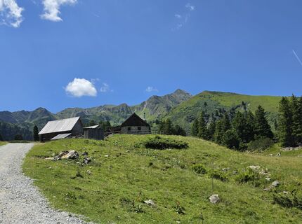 Fotografija s spletne strani MRDL na poti