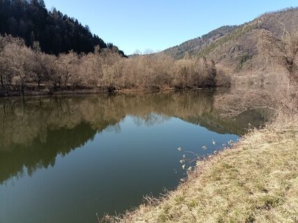Fotografia z Harald Bäck na trase