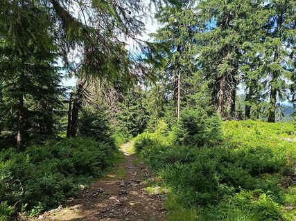 Foto de Žaneta Schelling a lo largo del recorrido