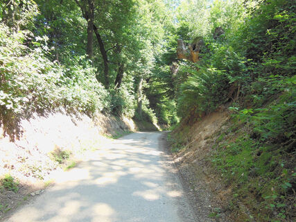 Hohlweg
