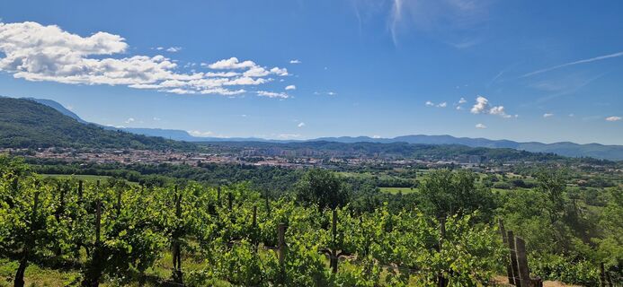 Fotografia z Utassy Tóth Johanna na trase