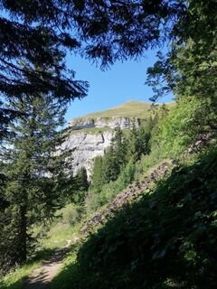 Foto von Turbinio entlang der Tour