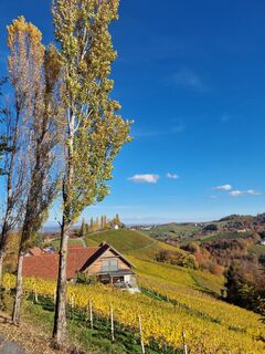 Foto från Michael Kainz 4 under resans gång