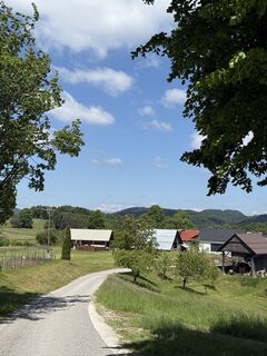 Photo de Vid Klemenčič le long du parcours
