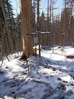 Foto von Wanderkatze entlang der Tour