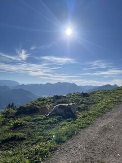 Photo de Daniel Groß le long du parcours