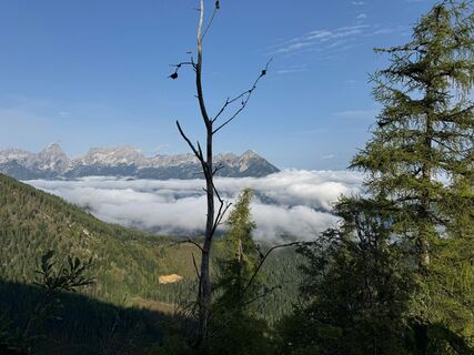Fotografija s spletne strani rgreil na poti