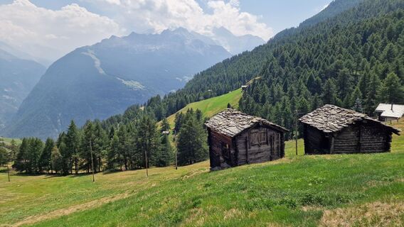 Fotografie z Fabrizi Mellano na trase