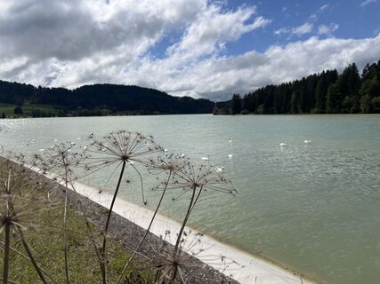 Photo de Michael Schröder-Timm le long du parcours