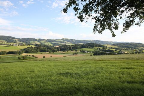 Zemljevid