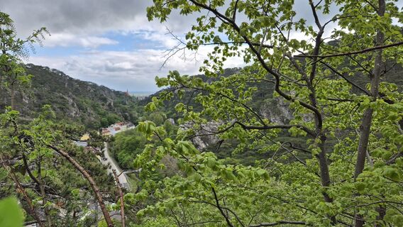 Foto de Claudia Maurer a lo largo del recorrido