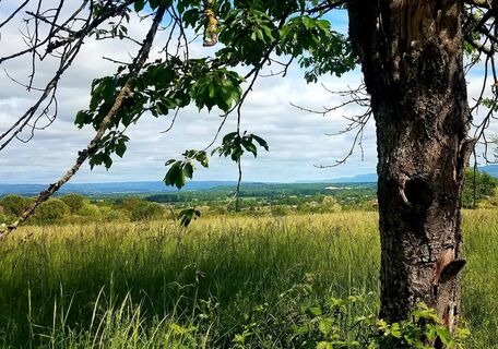 Landschaft