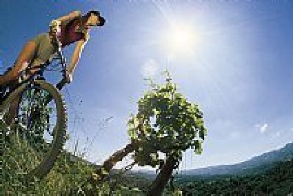 Natur pur am Harter Teich Radweg