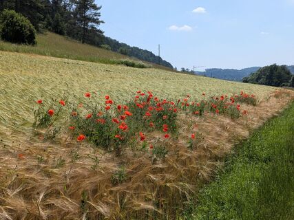 Foto von Sabrina Hackel entlang der Tour