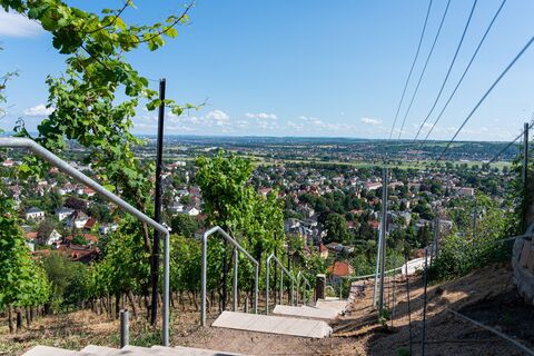 Blick auf Radebeul von der Friedensburg