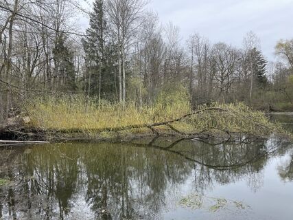 Photo de Andreas Hanek le long du parcours