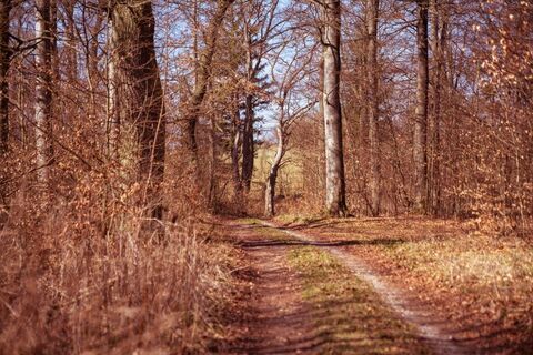 Impressionen aus dem Frühjahr © Manuel Pape