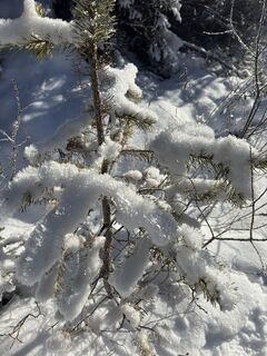 Photo de Linda Bauer le long du parcours