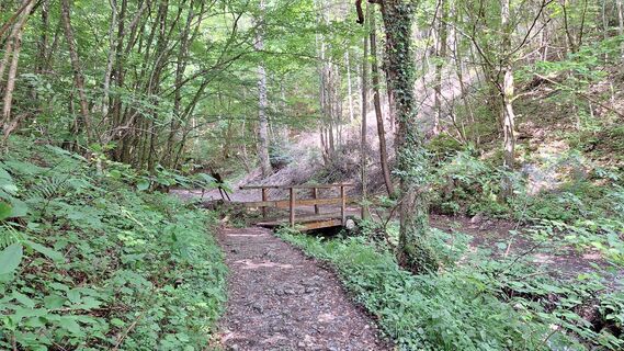 Foto de Peter Luger a lo largo del recorrido