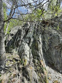 Foto von Marco Sandfort-Wessels entlang der Tour