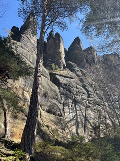 Foto von Sylvia Sellung entlang der Tour