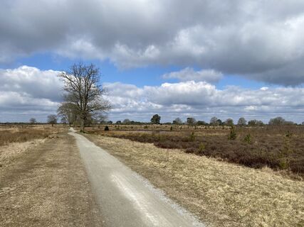 Foto de Roy de Vries a lo largo del recorrido