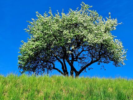 Fotografija s spletne strani greinerin na poti