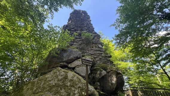 Foto de Volki F. a lo largo del recorrido