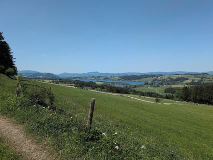 Foto von D84221404 entlang der Tour
